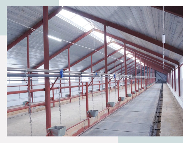 Строительство коровников в Вязьме от 617 руб.