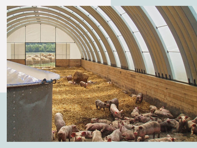 Строительство свинарников в Вязьме