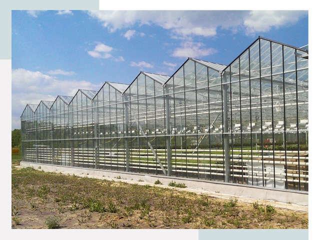 Строительство теплиц в Вязьма от 617 руб. за м²